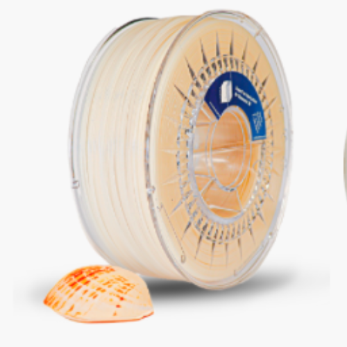 Filament coquille st jacques